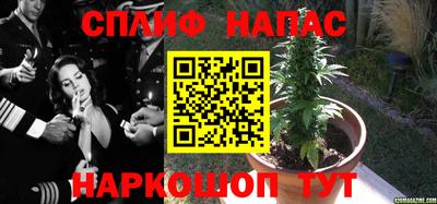 спайс Будённовск