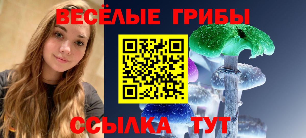 Псилоцибиновые грибы MAGIC MUSHROOMS  Вход с VPN  Галлюциногенные грибы GOLDEN TEACHER  Полевской 
